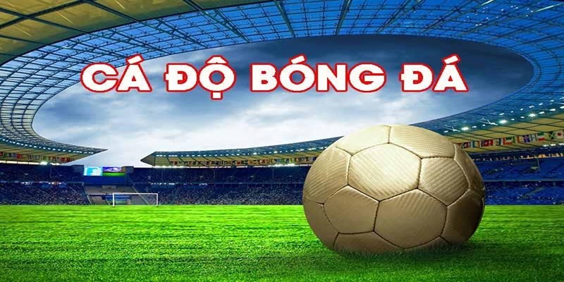 Lý do bet thủ thích tham gia bắt kèo bóng cỏ là gì?